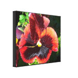 Pansyblommakanfas Sträckta Canvas Tryck