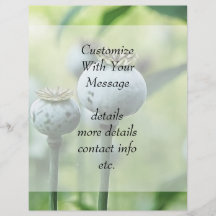 Papaver - somniferumen kärnar ur huvud flygblad designs