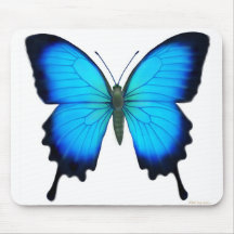 Papilio Ulysses fjäril Mousepad Musmatta