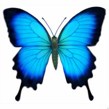 Papilio Ulysses fjärilsprydnad Photo Cut Outs