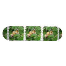 Para av fjärilsskateboarden