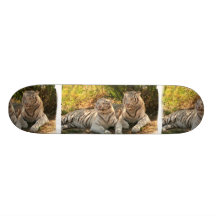 Para av vittigerskateboarden