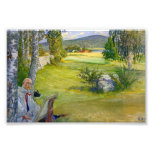 Paradis i sverigen 1910 konstfoto