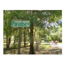 ParadisLane Florida Vykort