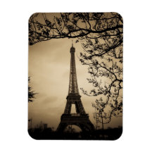Paris Vinyl Magnet