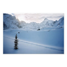 Parker Ridge Banff parkerar Icefields Alberta Kana Fotografi