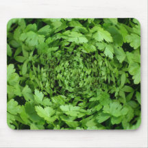 parsley musmatta