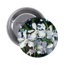 Parviflora (Vanda) blommor Nål