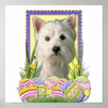 Påskäggkakor - västra höglands- Terrier Affischer