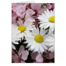 PÅSKhälsningkort 32 daisyblommablommar