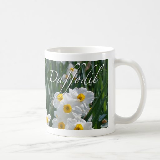 Påskliljablommor Kaffe Koppar