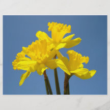Påskliljan för reklambladpappersgult blommar blå h flygblad designs