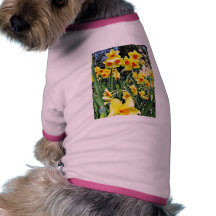 Påskliljar i blommar hund tröja