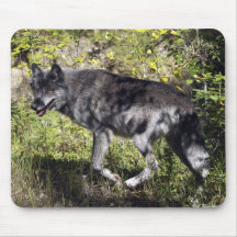 Pathfindervargen Mousepad Mus Matta