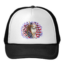 Patriot för amerikanStaffordshire Terrier Kepsar