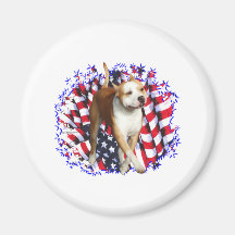 Patriot för amerikanStaffordshire Terrier Kylskåpmagneter