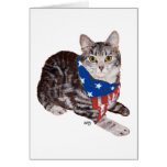 Patriotisk amerikanShorthair tabby katt Kort