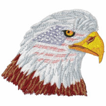 Patriotiskt amerikanska flagganörnhuvud broderade track jacket