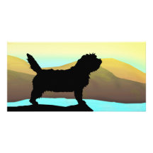PBGV-hund vid havet Fotokort