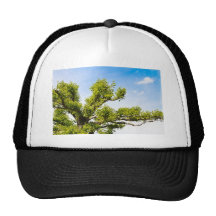 peacefull trucker keps