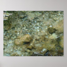 Pebbles i antilop fjädrar II - standart Print