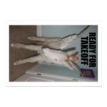 PEGASUS och jägare S. Thomcat affischer
