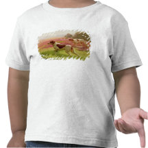 Pekare i en landskap, 19th århundrade t-shirt
