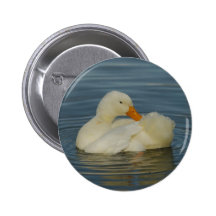 Pekin anka 8 knapp
