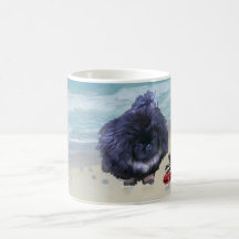 Pekingese valp på stranden kaffe koppar