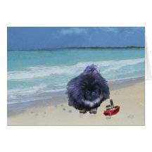 Pekingese valp på stranden kort