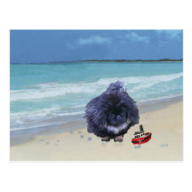 Pekingese valp på stranden vykort