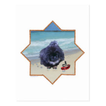 Pekingese valp på stranden vykort