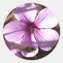 Pelargonklistermärke