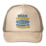 Pension 2011 baseball hat