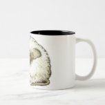 perfekt födelsedaggåva kaffe koppar