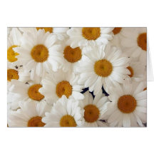 Perfekta daisyhälsningkort