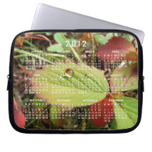 Perfektion i liten droppe bildar; Kalender 2012 Datorskydd