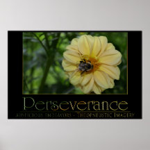 Perseverance Posters