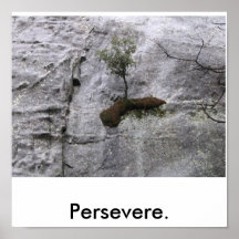 Persevere. Affischer