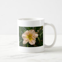 Persika rufsad lilja kaffe mugg