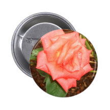 Persikan steg i den regnaCricketDiane blommigten Pins