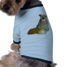 Pet Paws Roupas Para Pets