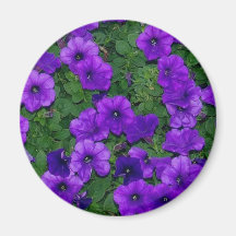 Petunia Kylskåps Magneter