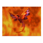 Phoenix Vykort