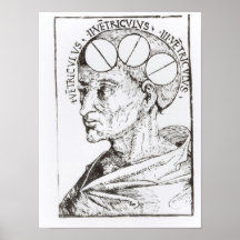 Phrenology Print
