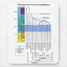 Phylogenetic kartlägga av Lepidopterahärstamningar Musmattor