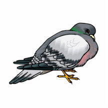 Pibbles Pigeon.png Acrylic Cut Outs