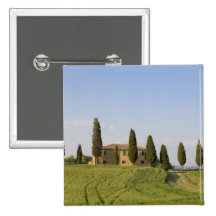 Pienza Val d'Orcia, Siena landskap, Tuscany, Knappar Med Nål
