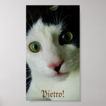 Pietro! Affischer