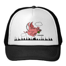 Pigasus Keps